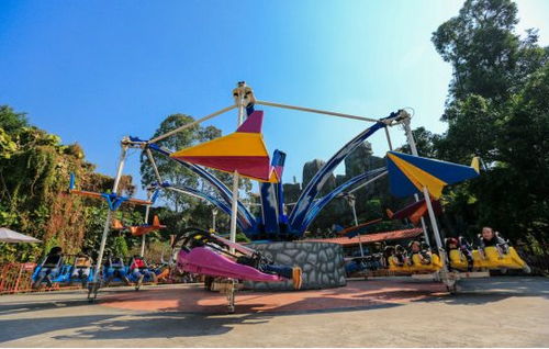 2018 CAE北京展 龍之盈游樂邀您參觀，共賞精彩游玩設備